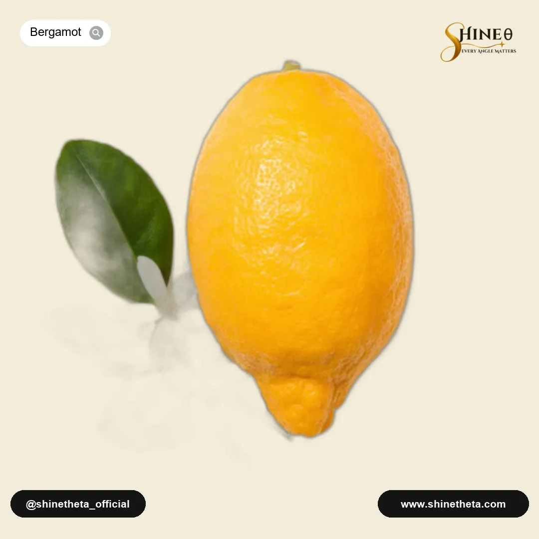 Fresh Bergamot and Bergamot Leaf