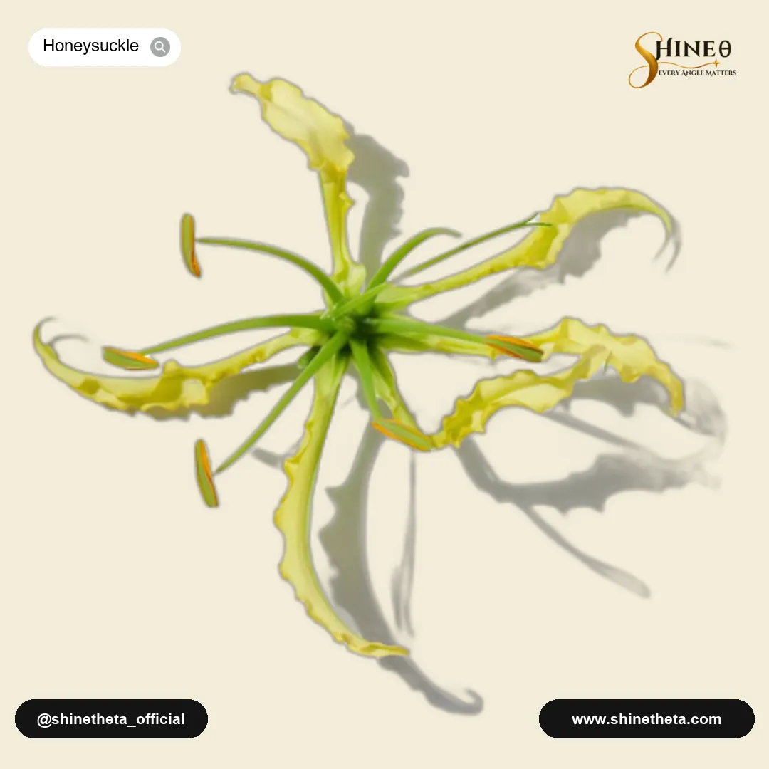Honeysuckle