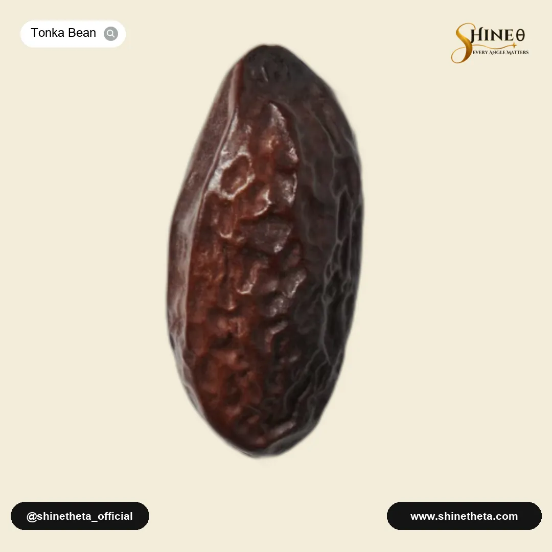 Tonka Bean