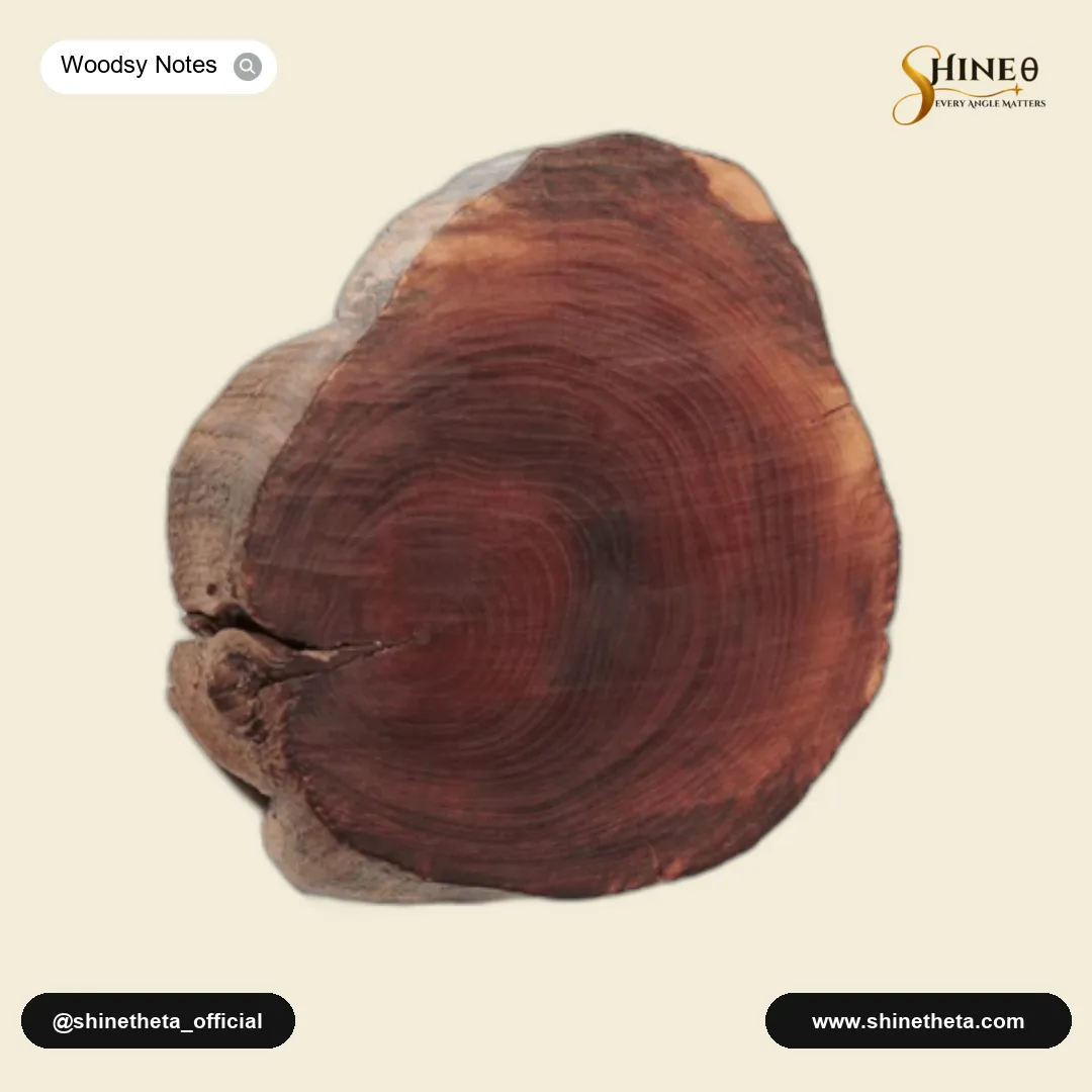 Woods