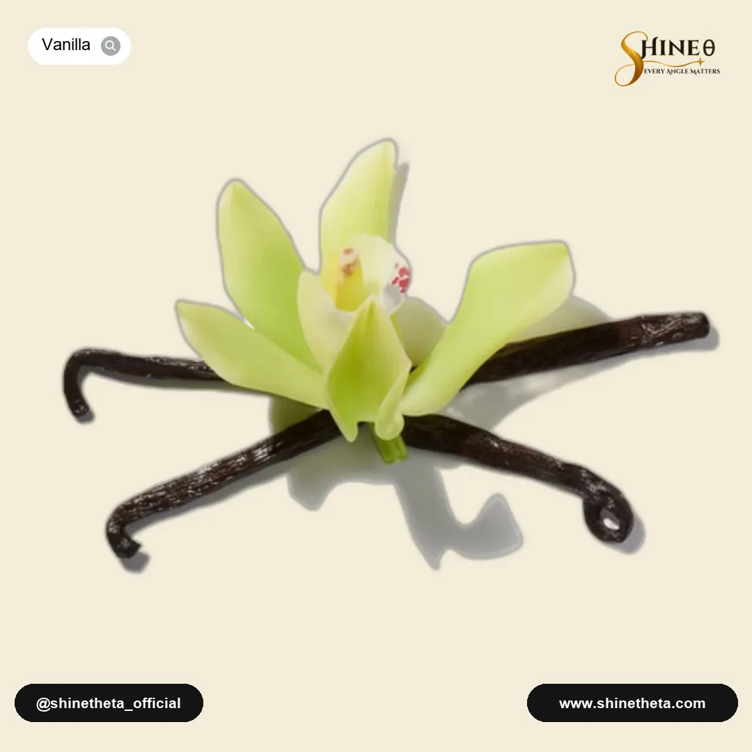 Madagascar Vanilla