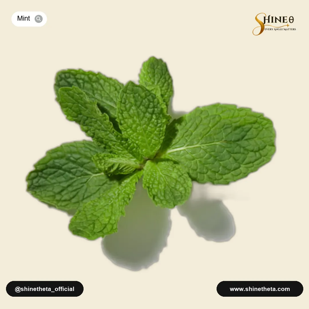 Mint