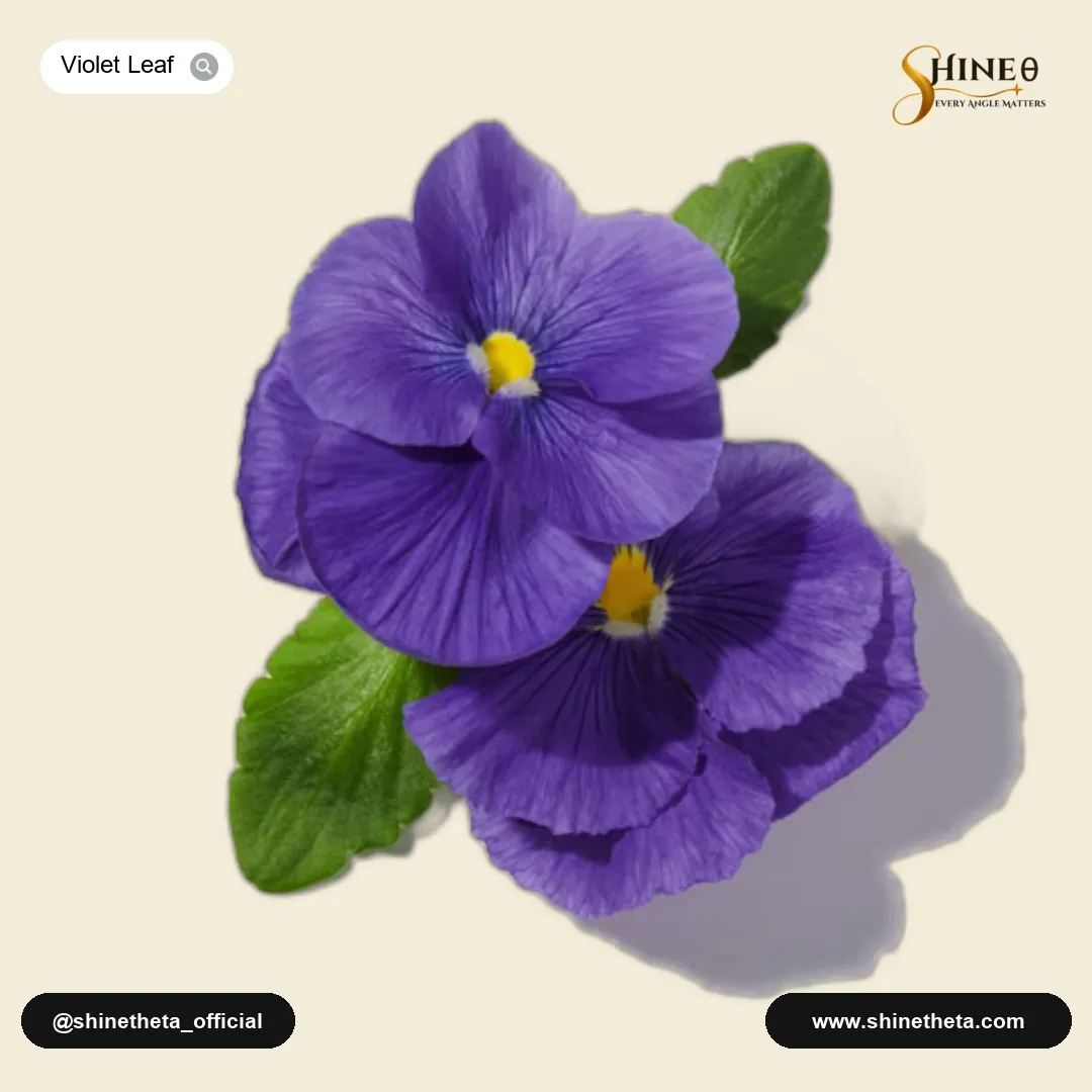Violet