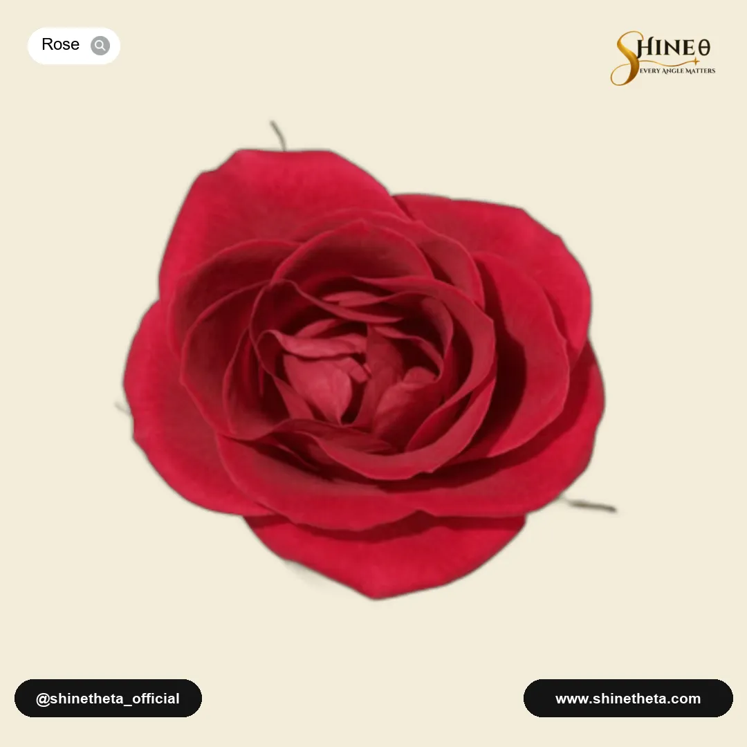 Floral Rose