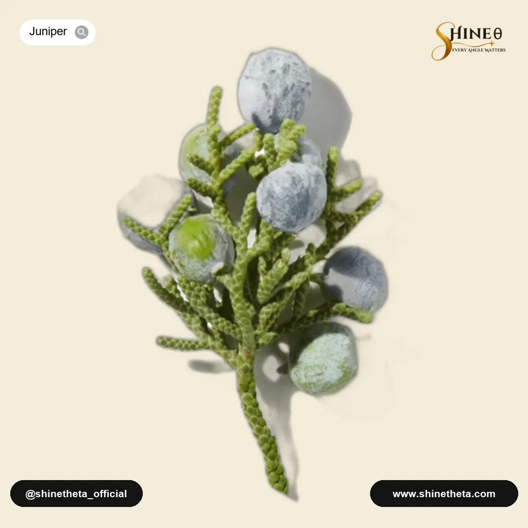 Juniper berries