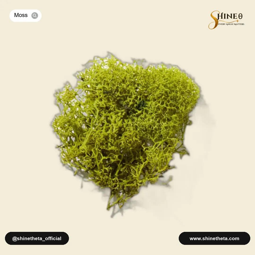 Oakmoss