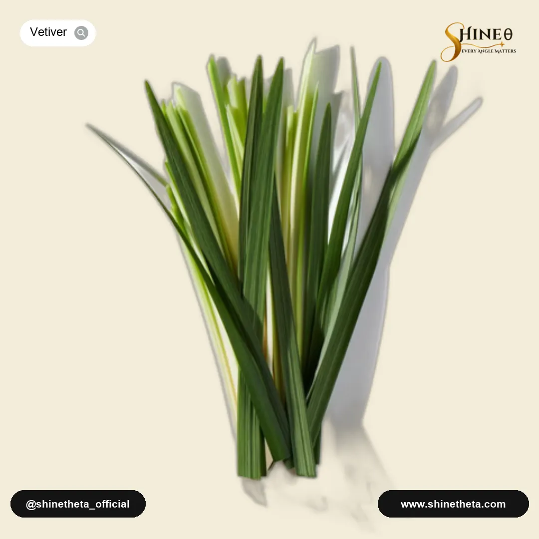 Bourbon Vetiver