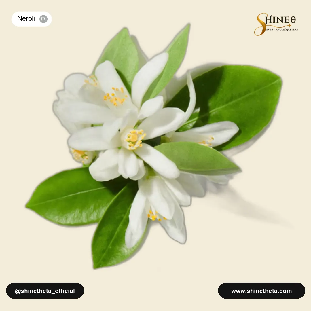 Tunisian Neroli