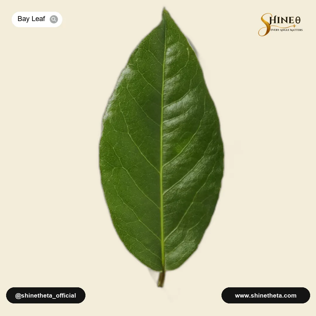 Bay Leaf