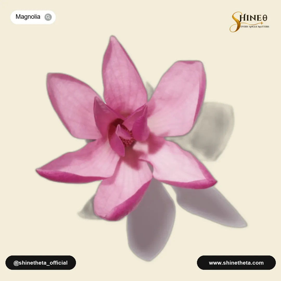 Magnolia