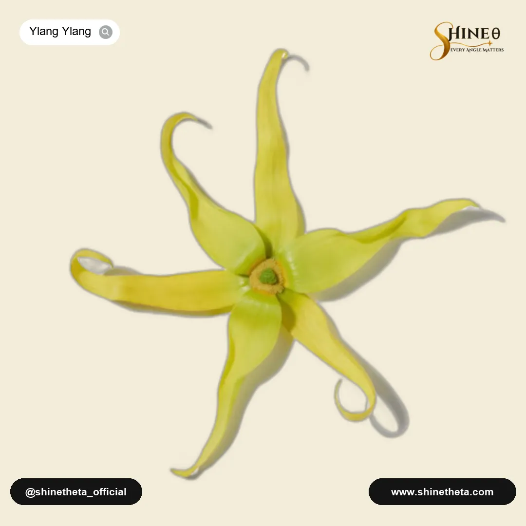 Ylang-Ylang