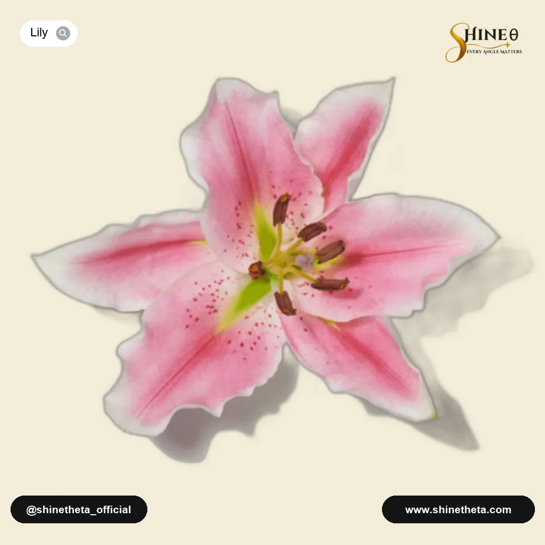 Nympheal (Water Lily)