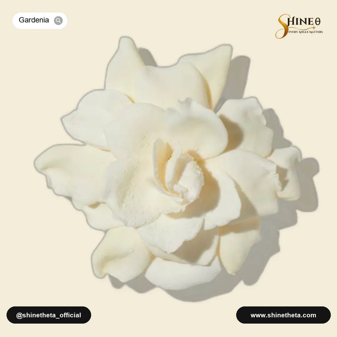 Gardenia