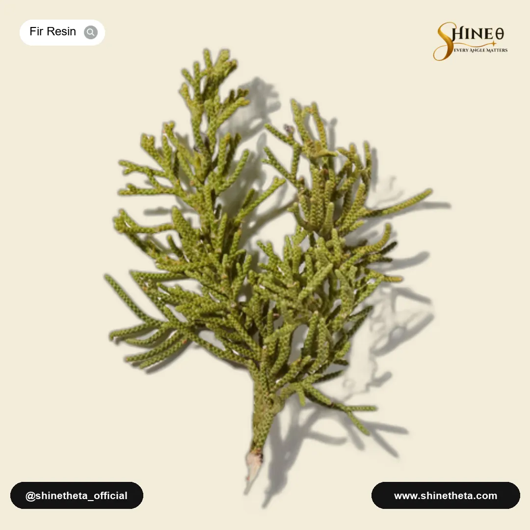 Fir Resin