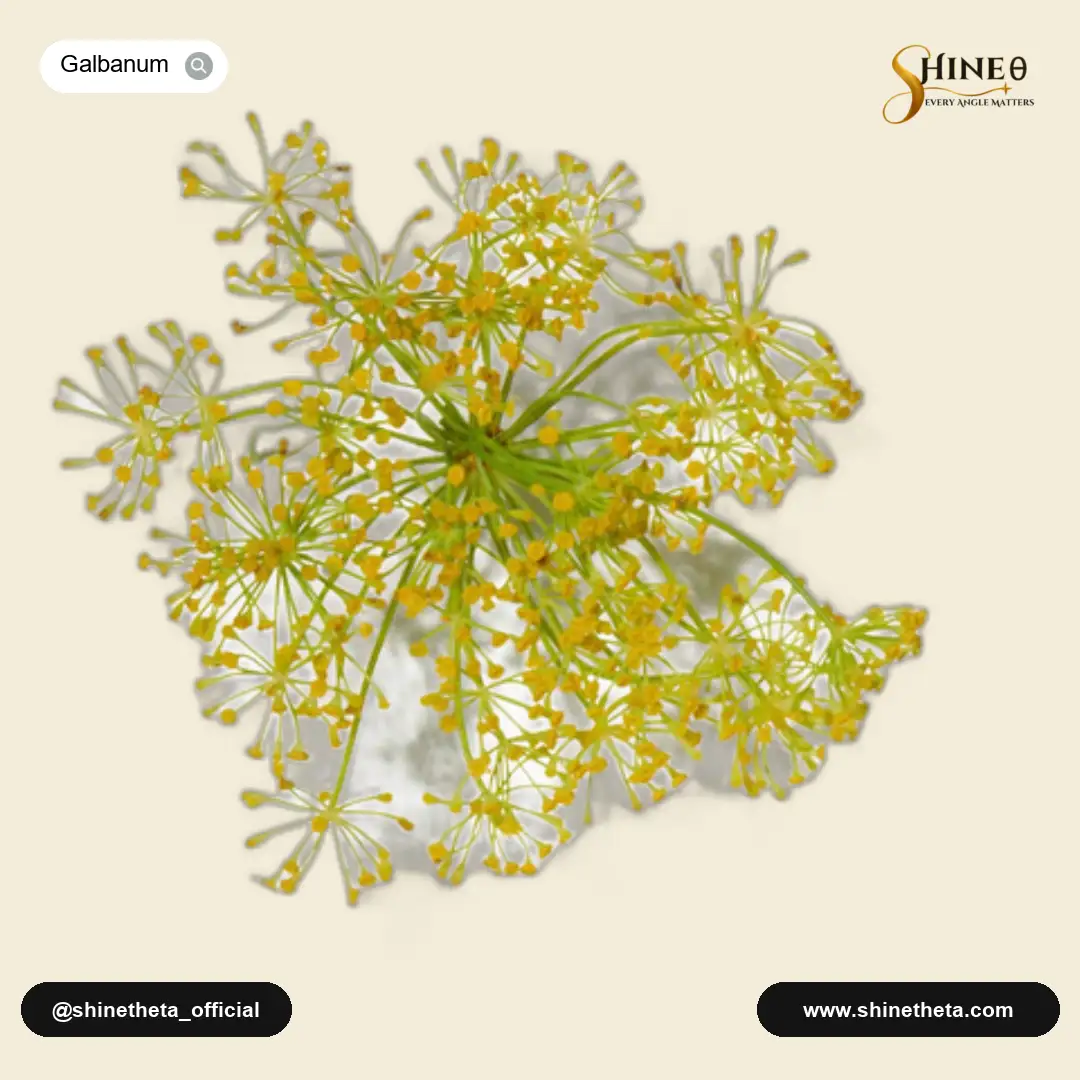 Galbanum