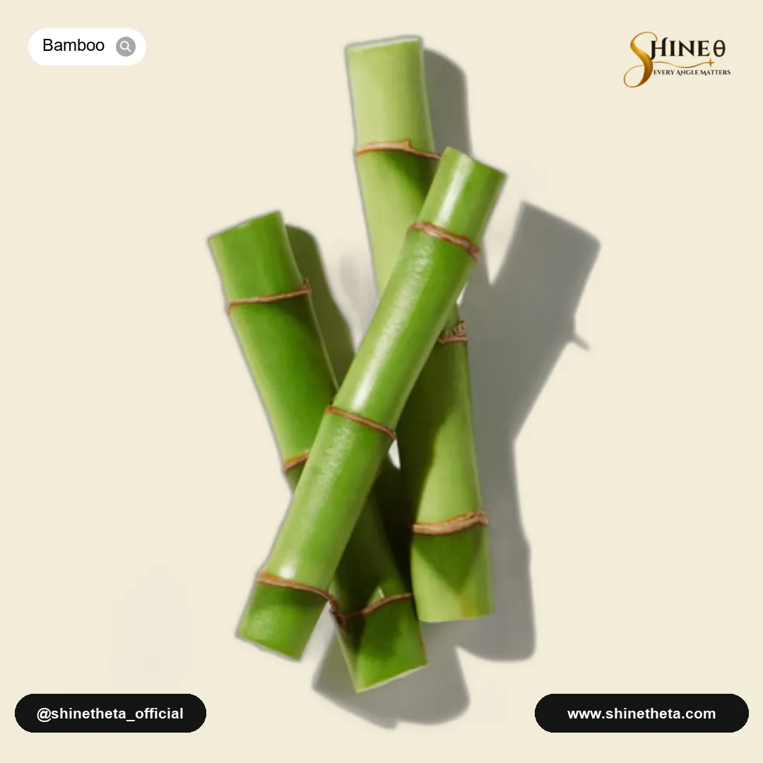 Bamboo