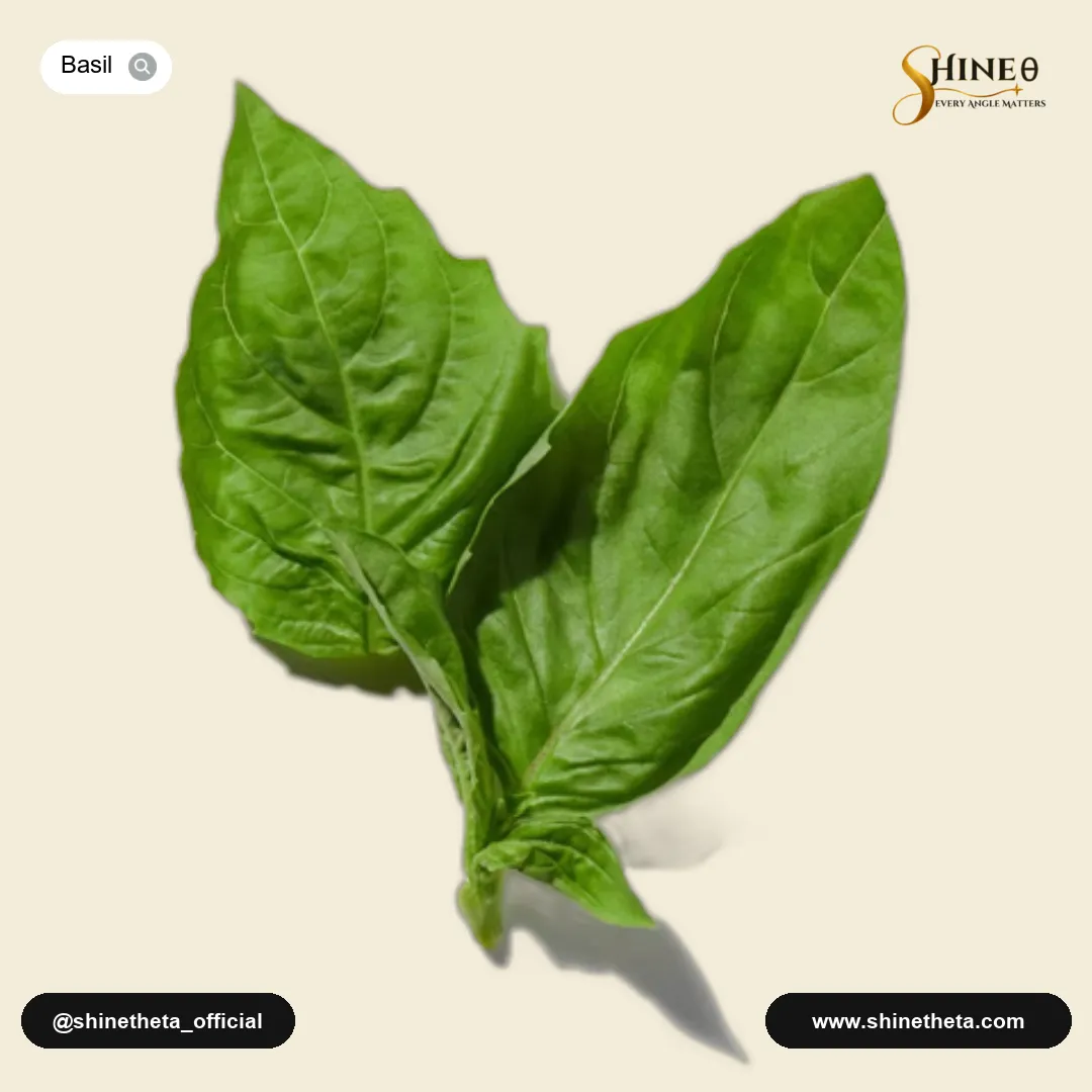 Basil Flower