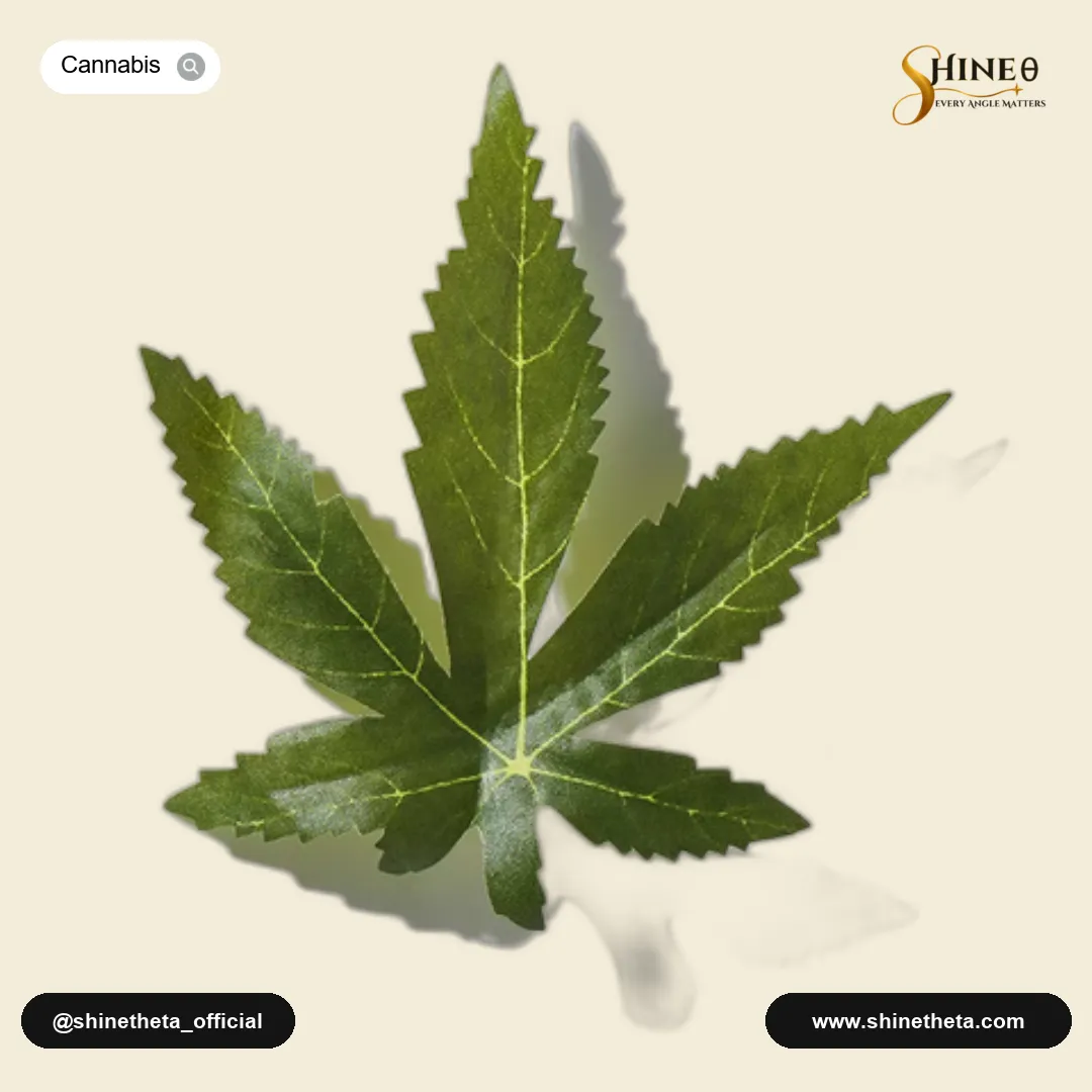 Cannabis