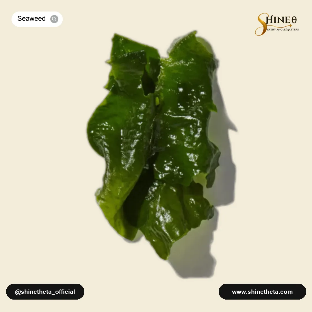 Seaweed