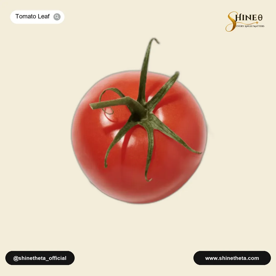Tomato Leaf