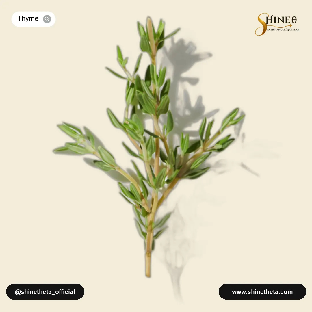 Red Thyme